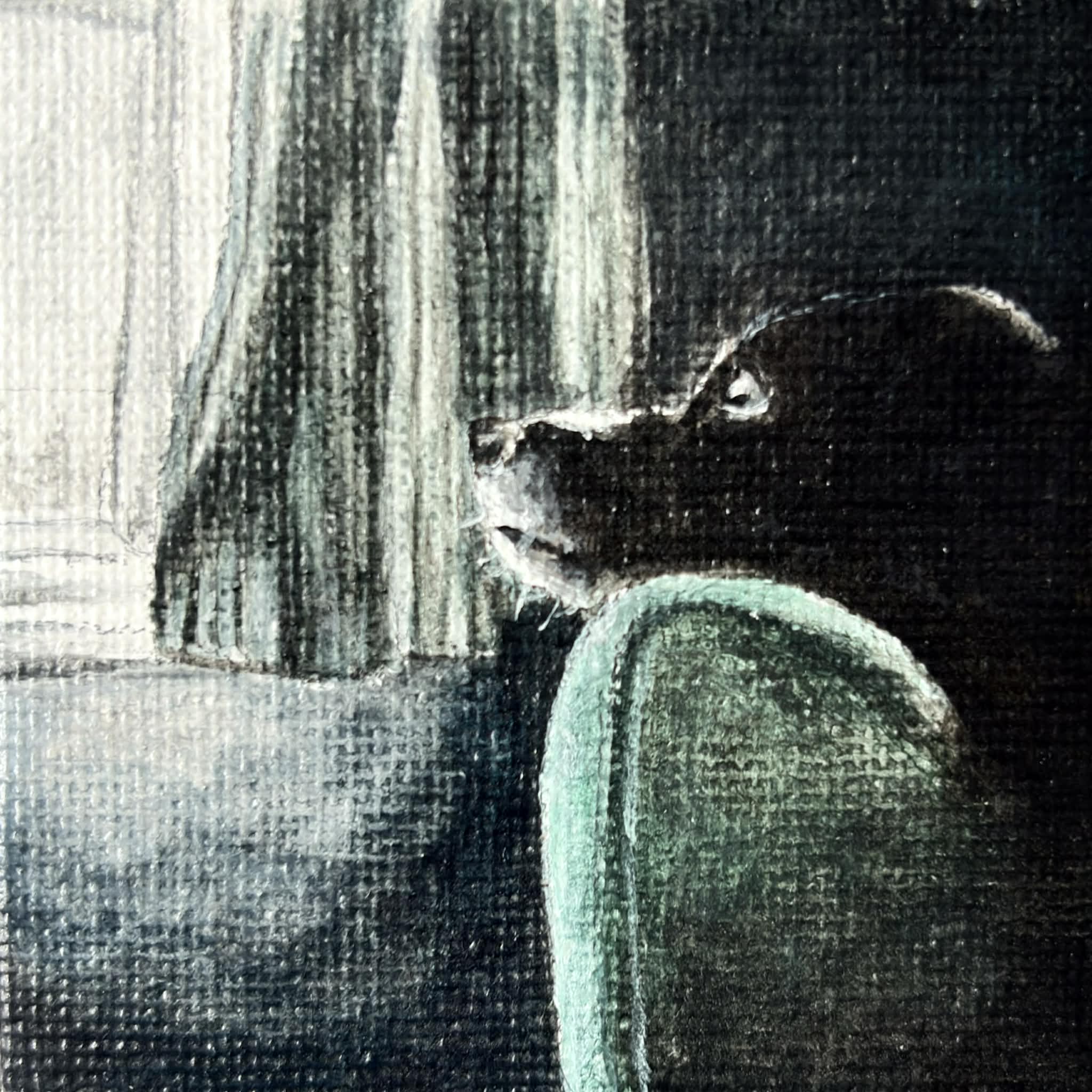 Petite Portraits