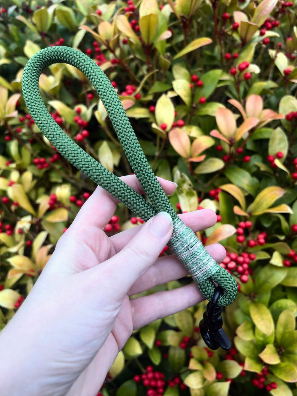 Rope Traffic / Grab Handle