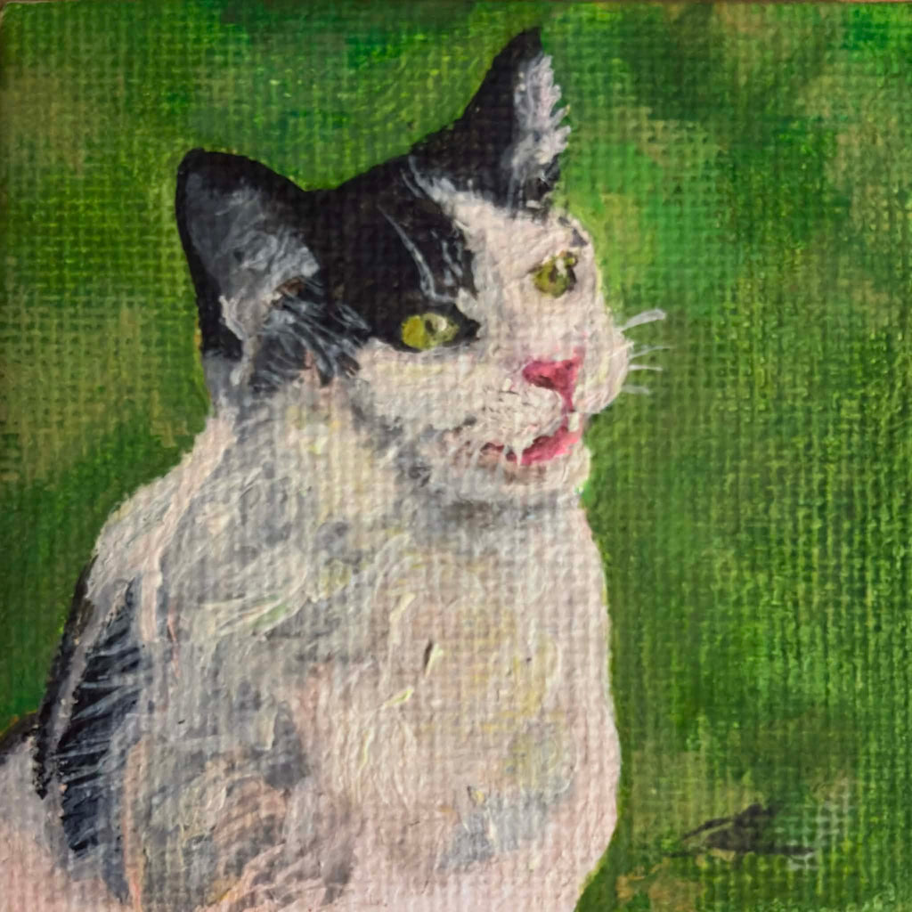Petite Portraits