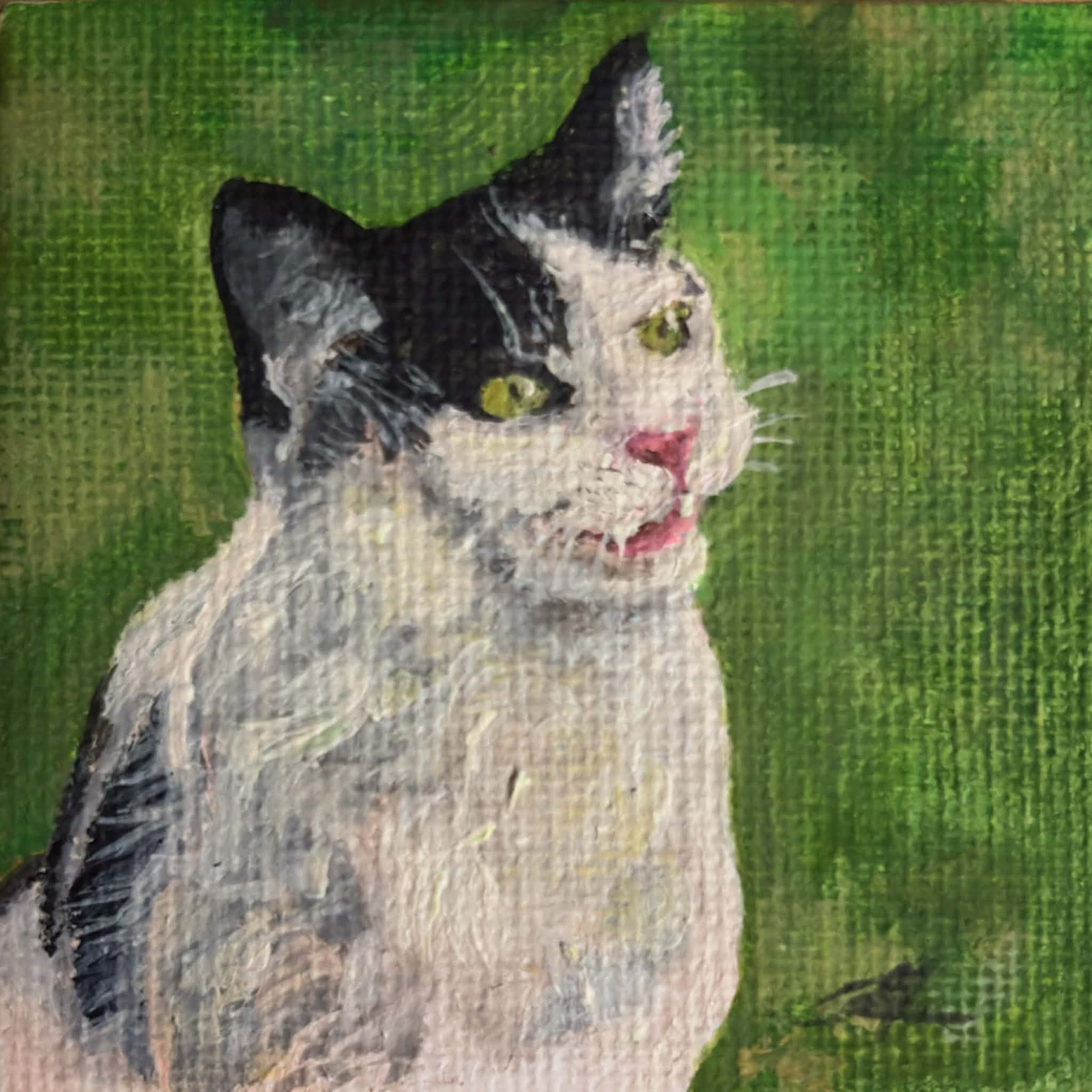 Petite Portraits