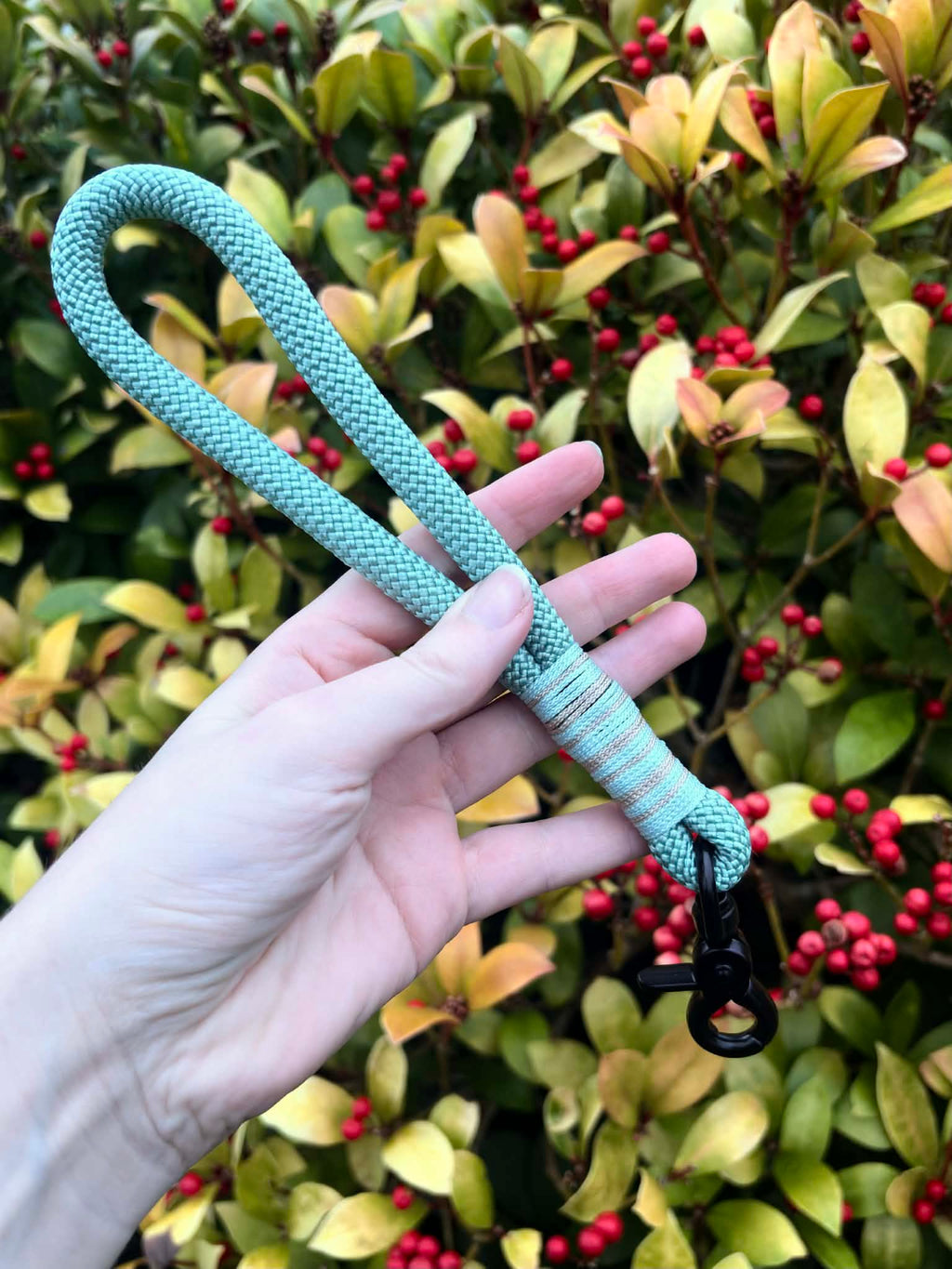 Rope Traffic / Grab Handle