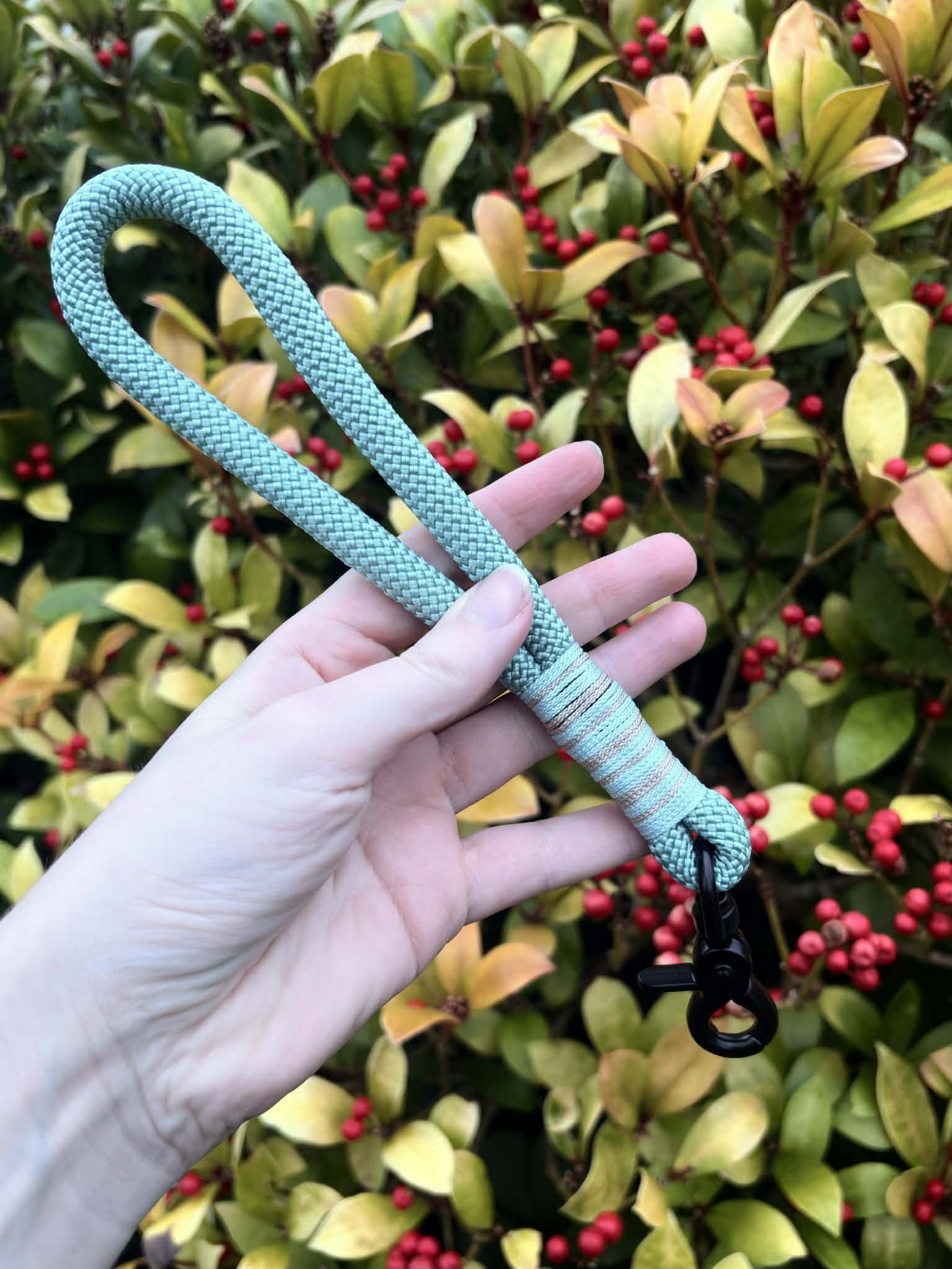 Rope Traffic / Grab Handle