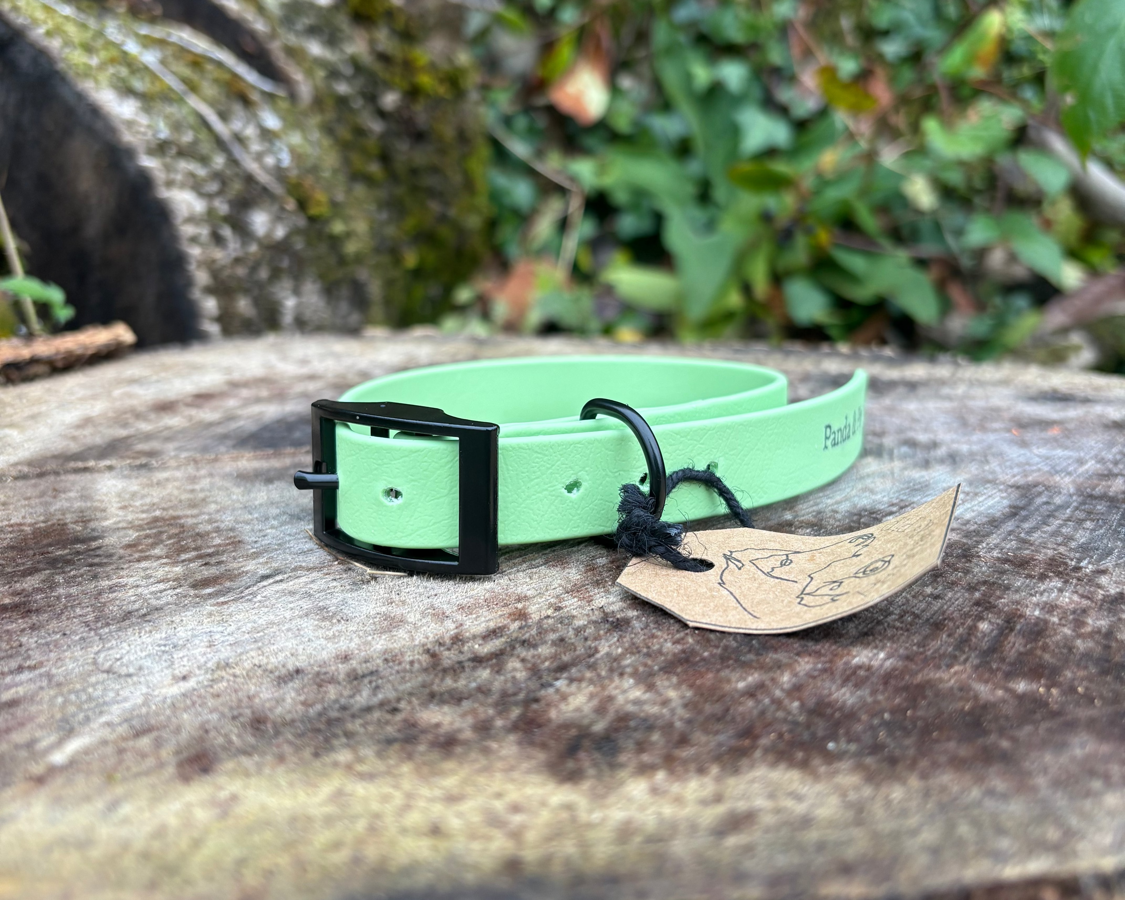 'Panda & Pip' Collars