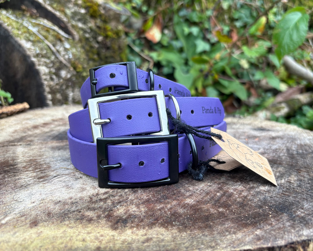 'Panda & Pip' Collars