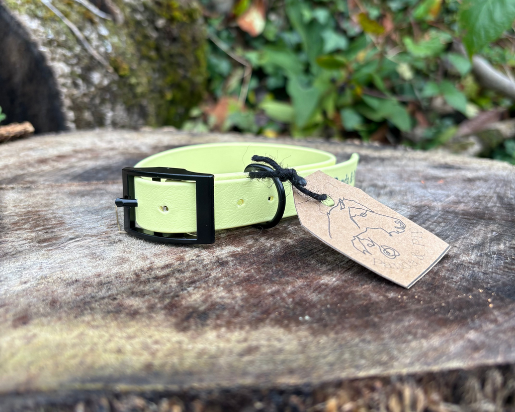 'Panda & Pip' Collars