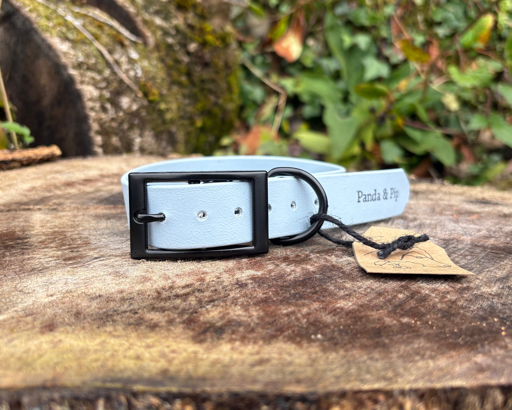 'Panda & Pip' Collars
