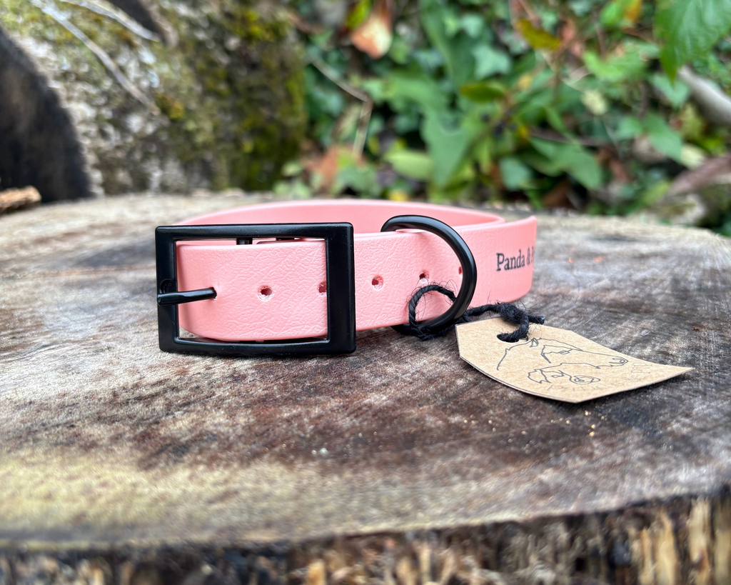 'Panda & Pip' Collars