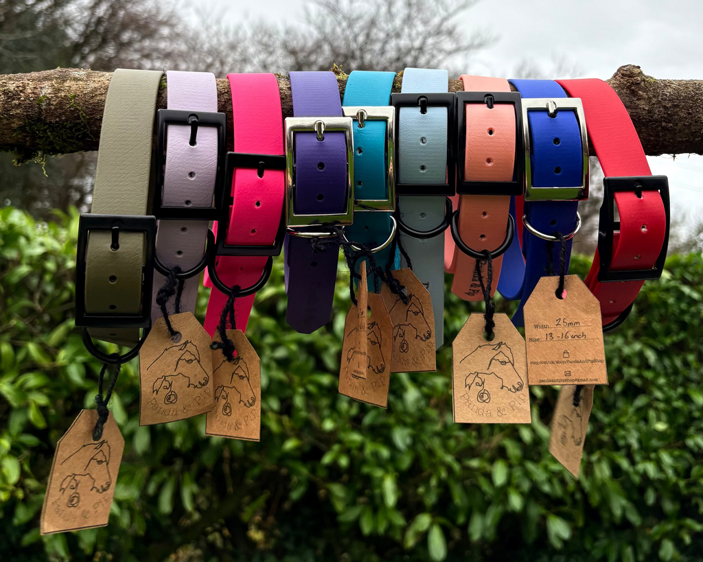 'Panda & Pip' Collars