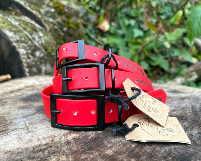 'Panda & Pip' Collars