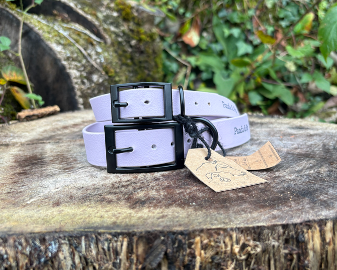 'Panda & Pip' Collars