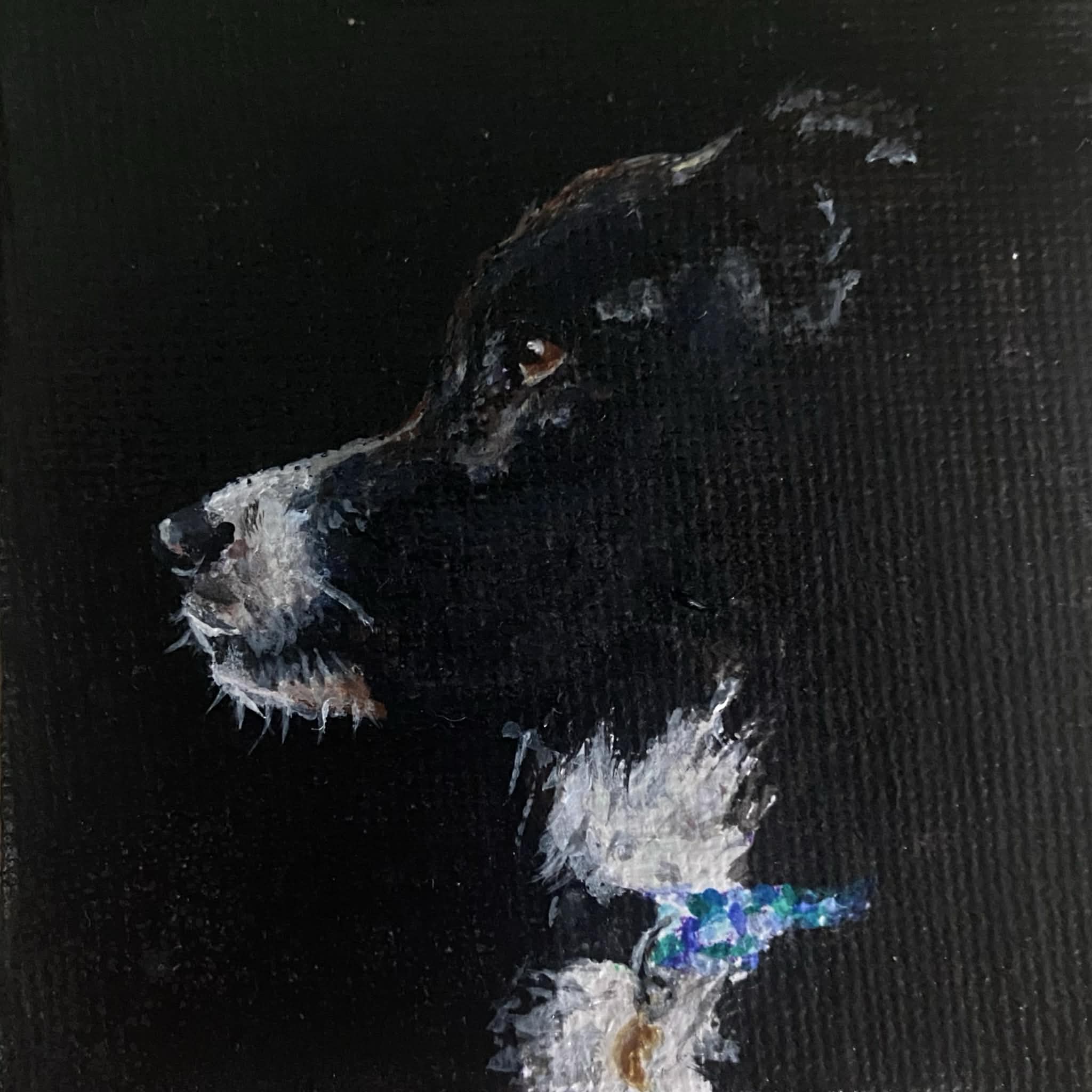 Petite Portraits