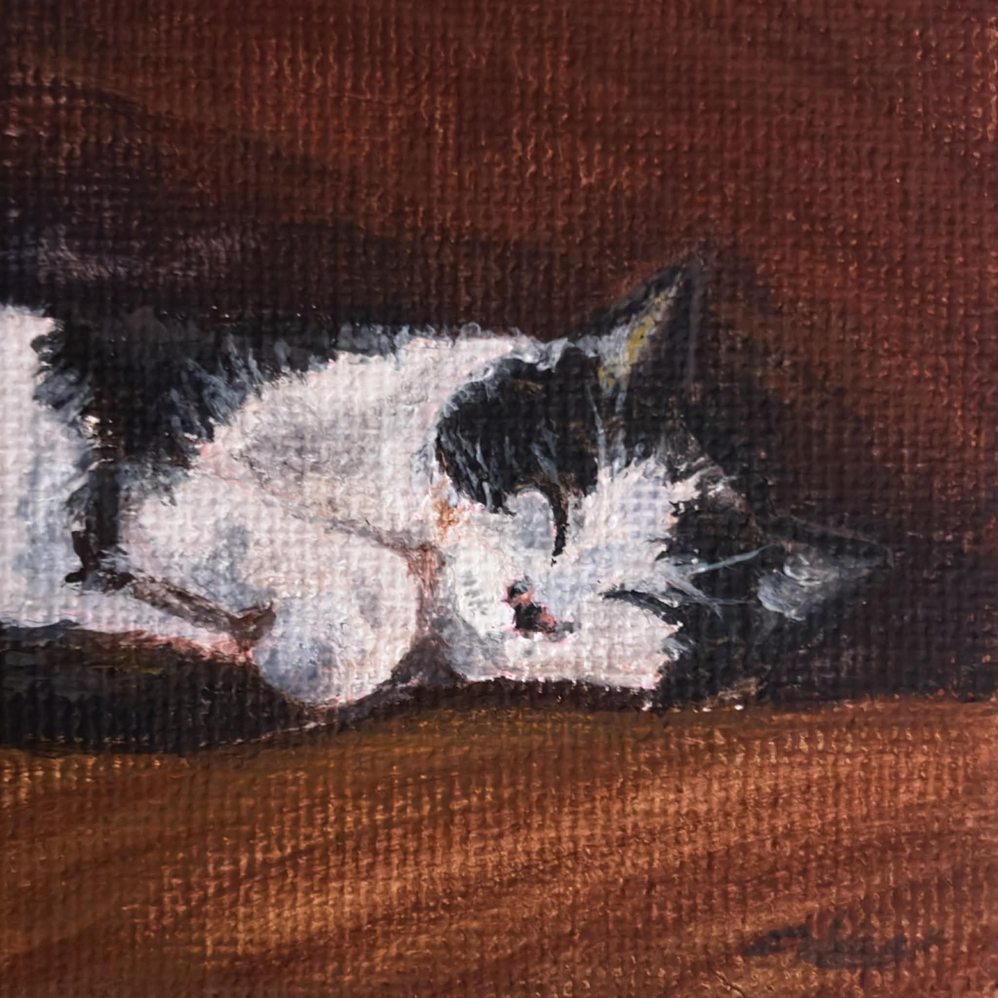 Petite Portraits